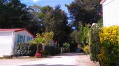 Camping Les Ombrages,Location de Mobil homes à Royan