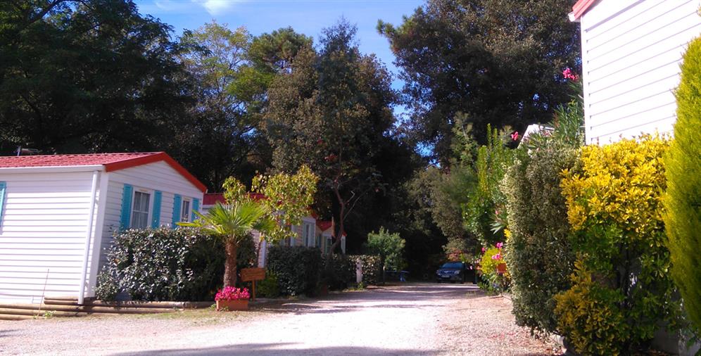 Camping Les Ombrages,Location de Mobil homes à Royan
