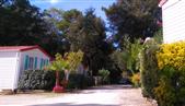 Camping Les Ombrages,Location de Mobil homes à Royan