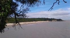 Camping Les Ombrages, Acces direct Plage