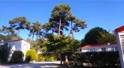 Camping Les Ombrages,Location de Mobil homes à Royan