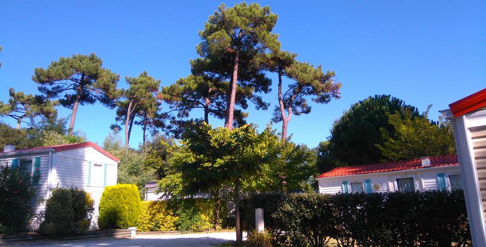 Camping Les Ombrages,Location de Mobil homes à Royan