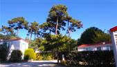Camping Les Ombrages,Location de Mobil homes à Royan