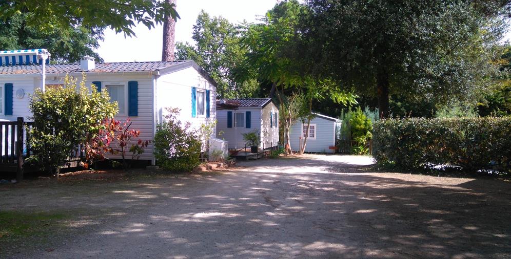 Location parcelles à l'année et vente de mobil homes au Camping 2 étoiles Les Ombrages à Meschers sur Gironde en Charente Maritime