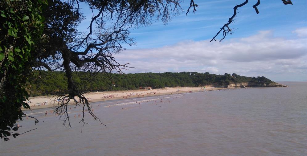 Vente de mobil homes et location parcelles à l'annéeau Camping 2 étoiles Les Ombrages à Meschers sur Gironde en Charente Maritime