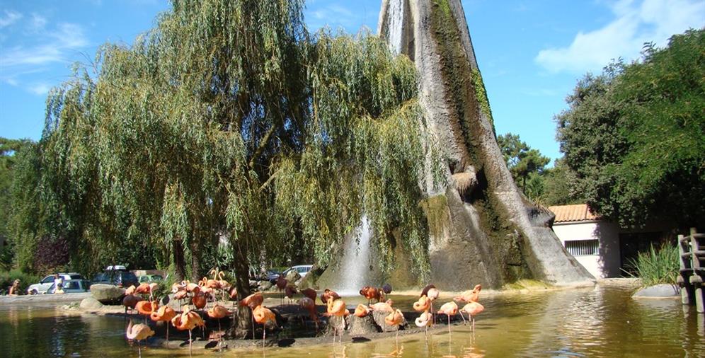 Le Zoo de La Palmyre près du Camping Les Ombrages, camping 2 étoiles à 250m de la plage, location de mobil homes, camping résidentiel à Meschers sur Gironde près de Royan en Charente Maritime