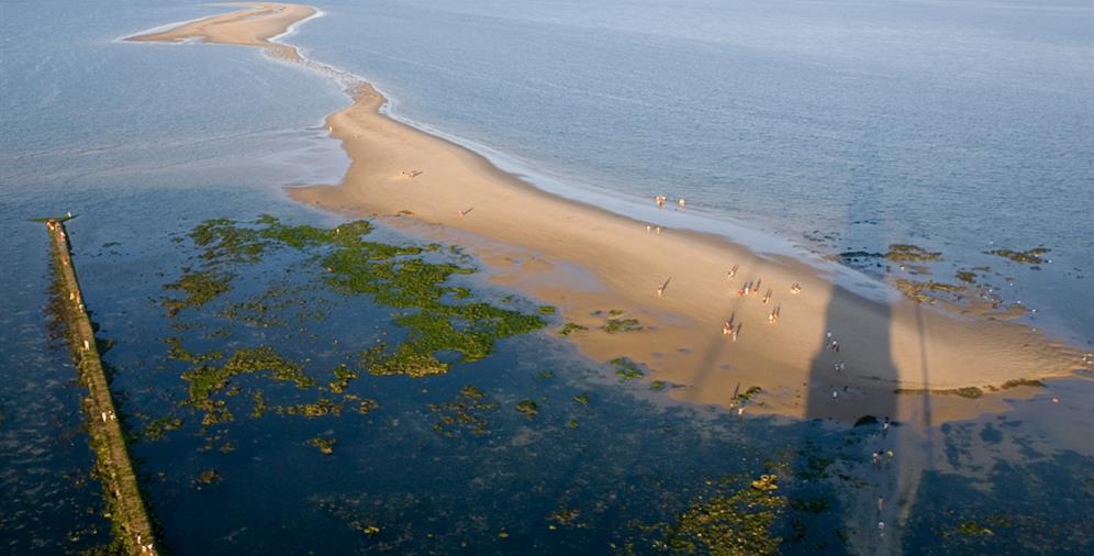 Phare de Cordouan près du Camping Les Ombrages, camping 2 étoiles à 250m de la plage, location de mobil homes, camping résidentiel à Meschers sur Gironde près de Royan en Charente Maritime