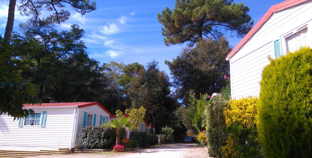 Location parcelles à l'année et vente de mobil homes au Camping 2 étoiles Les Ombrages à Meschers sur Gironde en Charente Maritime