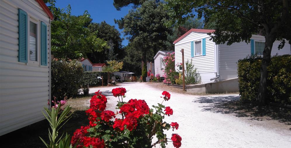 Location de mobil homes au Camping Les Ombrages, camping 2 étoiles à 250m de la plage, camping résidentiel à Meschers sur Gironde près de Royan en Charente Maritime